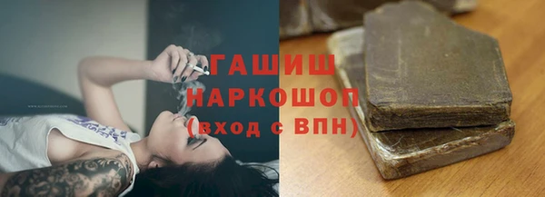 молекула духа Богданович