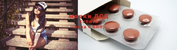 молекула духа Богданович