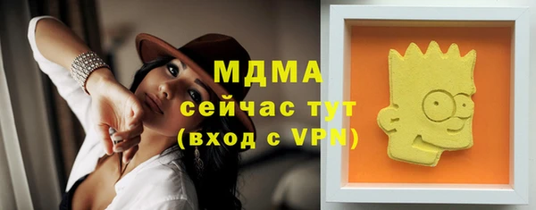 молекула духа Богданович