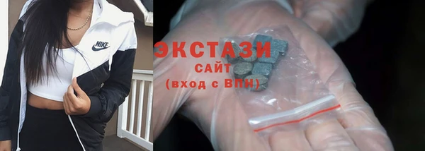молекула духа Богданович