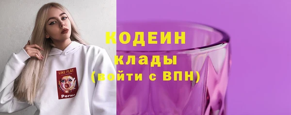 молекула духа Богданович