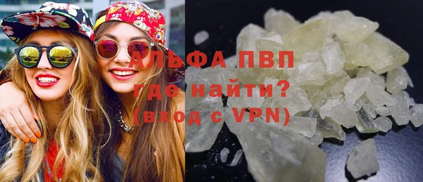 прущие грибы Бугульма
