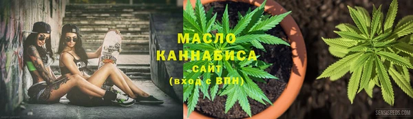 молекула духа Богданович
