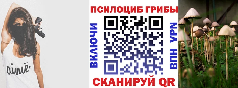 как найти закладки  omg как войти  Псилоцибиновые грибы MAGIC MUSHROOMS  Кола 